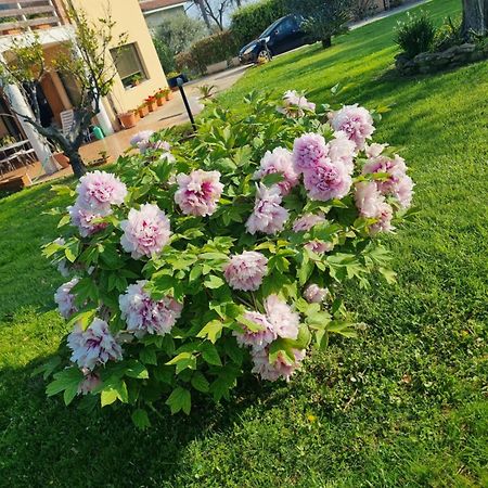 Appartement La Collina Del Riccio à Ortona Extérieur photo