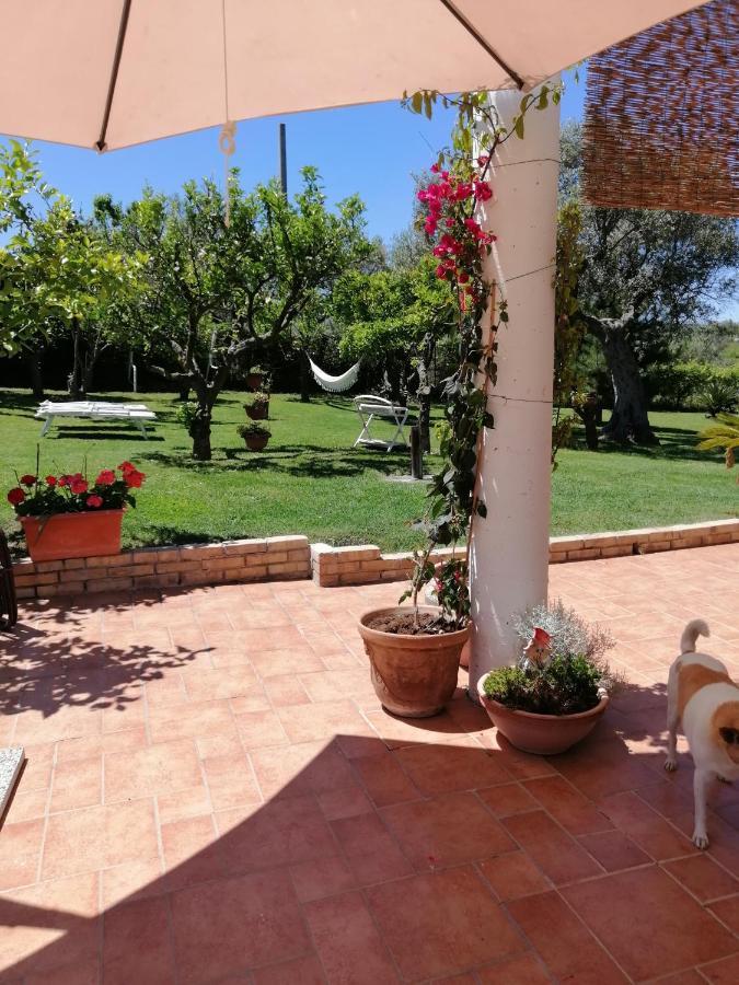 Appartement La Collina Del Riccio à Ortona Extérieur photo
